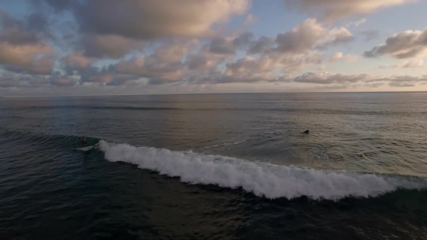 Two surfers catching a wave