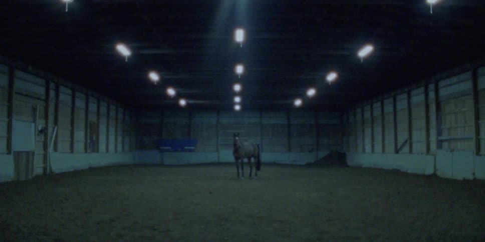 A horse stands inside a building