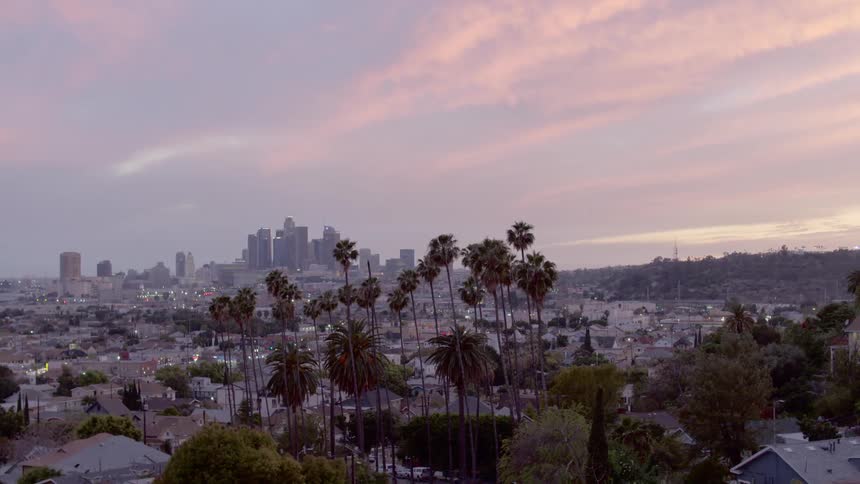 A city skyline is visible in the distance from a dense neighborhood