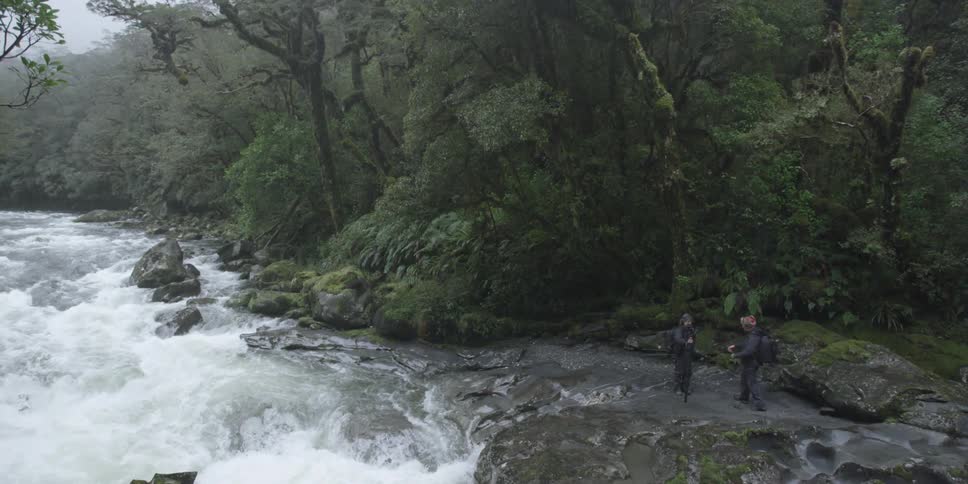 Two people walk near a forest river