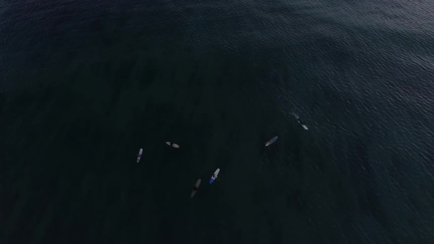 Kayaks floating on water