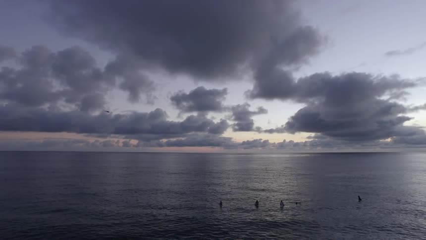 People float in the ocean on surfboards as a bird flies over