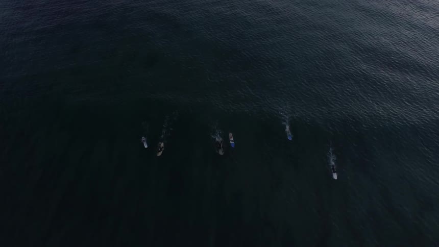 Surfers paddle out to catch a wave and then ride