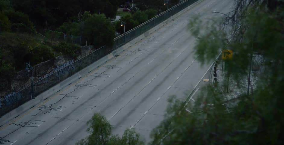 Deserted roadway surrounded by trees