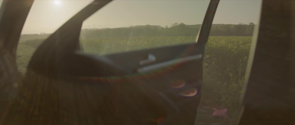 A car door is open in a grassland area