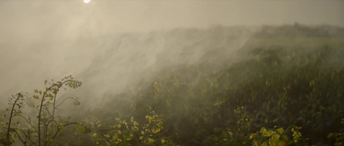 Mist hangs over a grassy plain