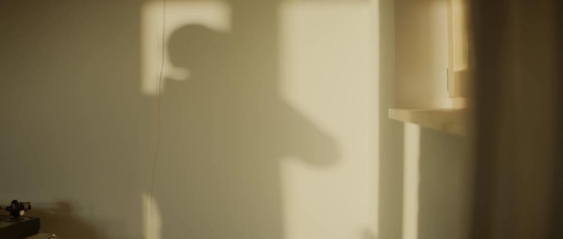 A persons shadow is shown on the wall