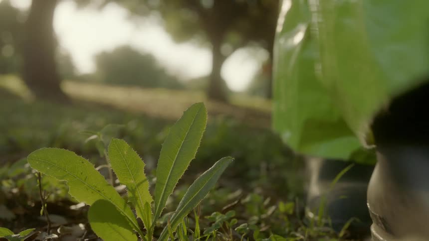 A person legs wearing a hazmat suit walking on grass