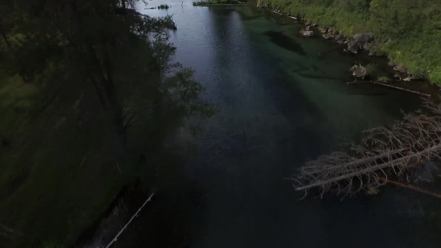 Canoes navigate around fallen logs down a river