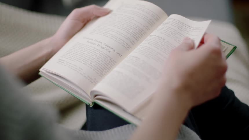 Hands hold an open book in a lap