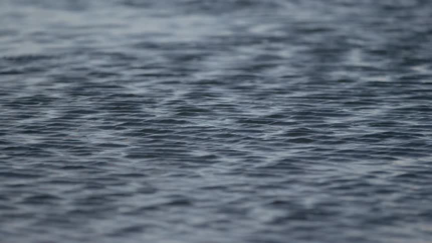 Waves and ripples move along the water's surface