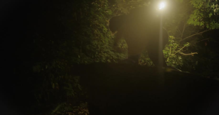 A person runs and jumps over a trash can at night