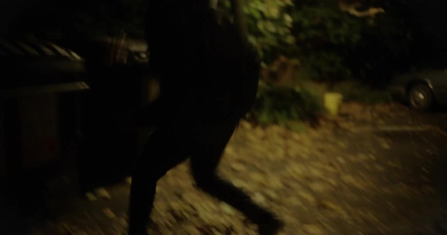 A person wearing a backpack running through a parking lot and leaping atop a dumpster at night