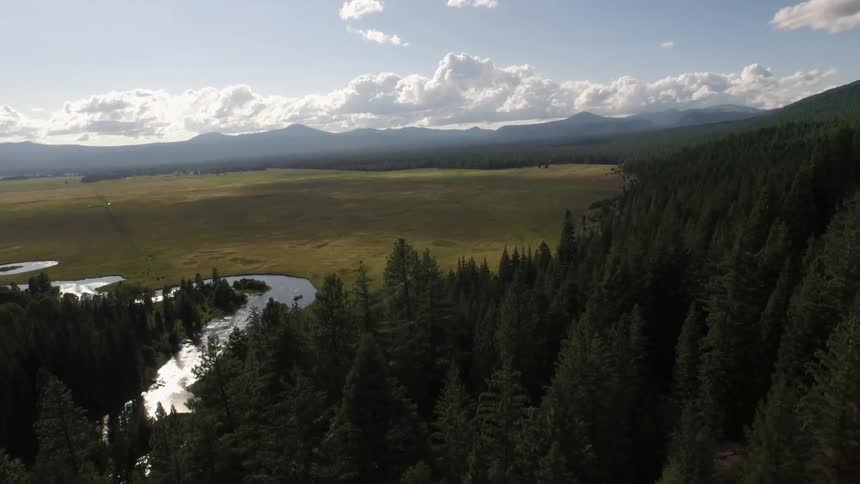 Trees surround an open area with a small river