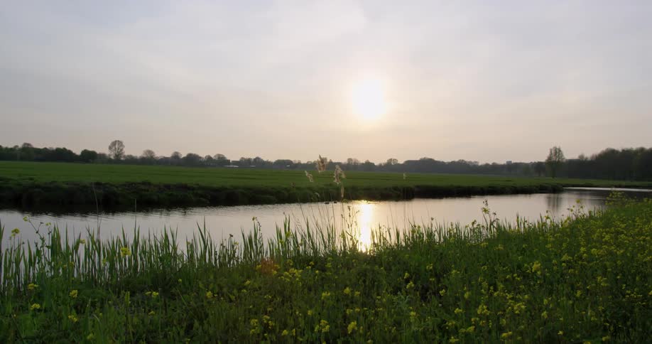 A stream running through a grassland