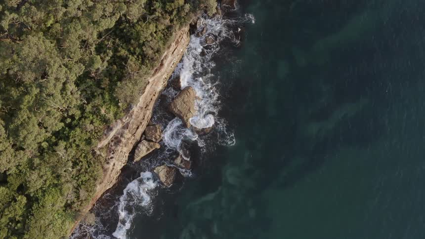 Waves crash against shore bordered by forest
