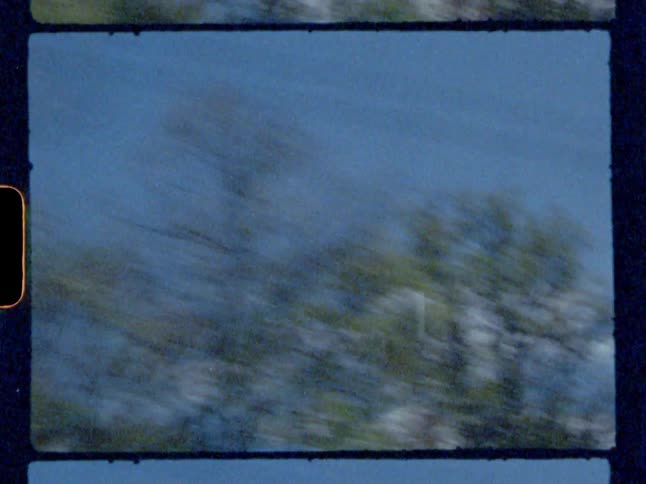 Trees and power lines with the sky in the background