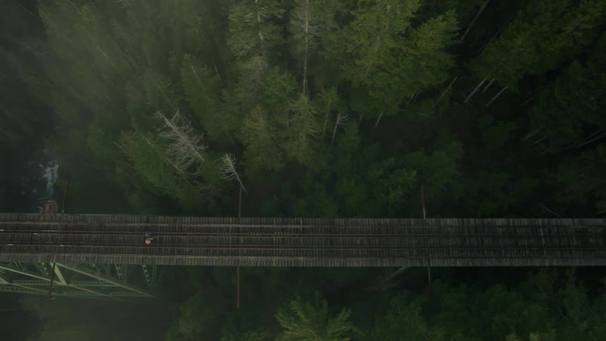 Drone Flying Through Nature