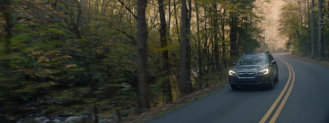 A vehicle drives down a curvy narrow road surrounded by trees on both sides
