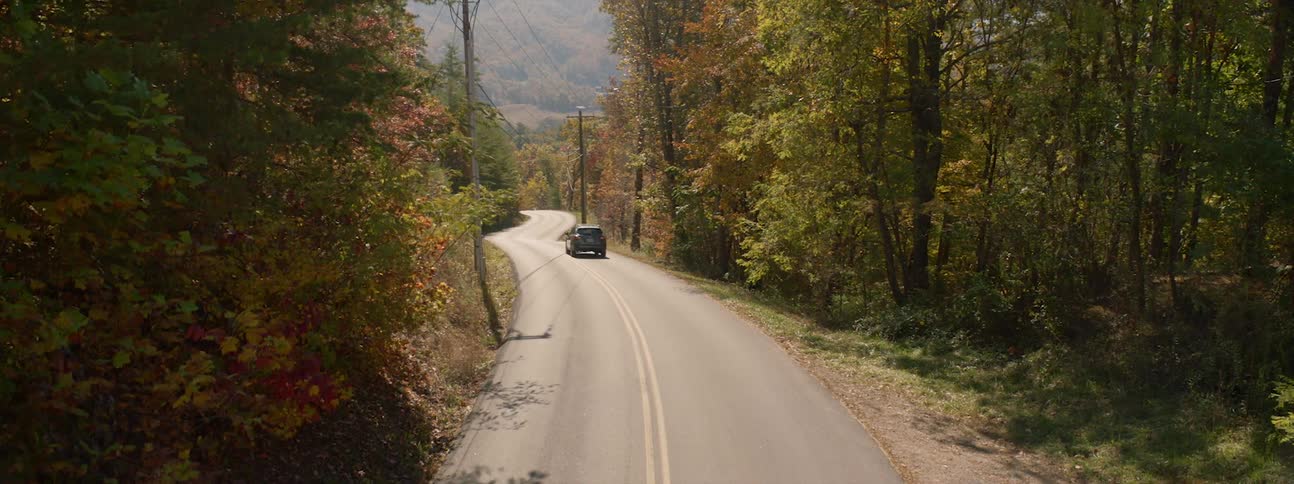 A vehicle traveling down a road through a woodland