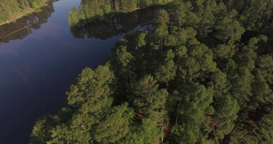 Tree Top Aerials