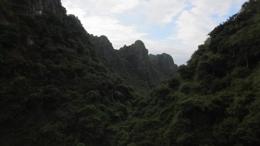 The mountains are tall and covered with green