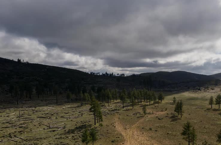 Clouds passing over a hilly countryside dotted with trees