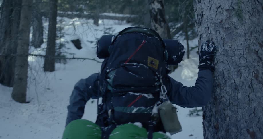 A person hiking in the woods in snow