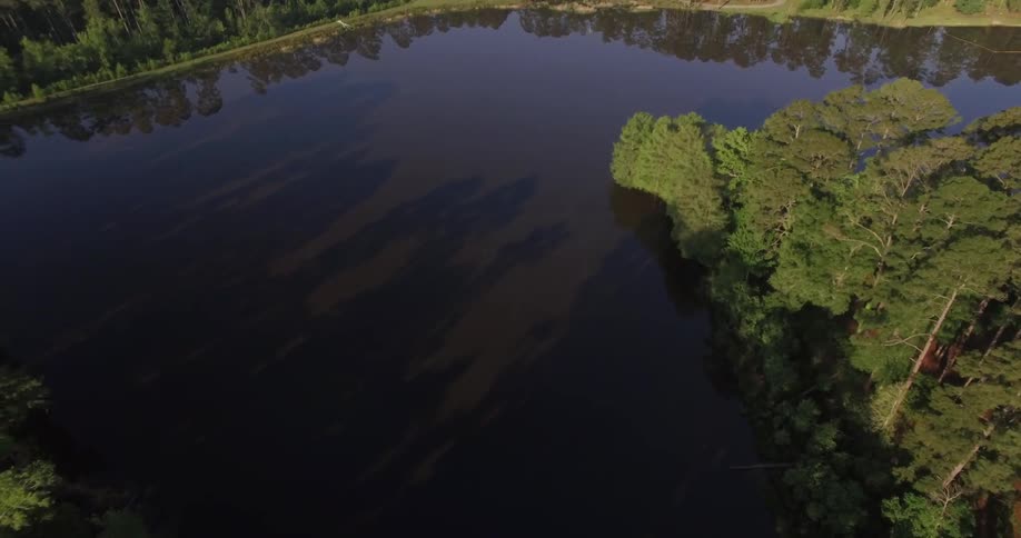 Aerial view of a lake with trees surrounding it