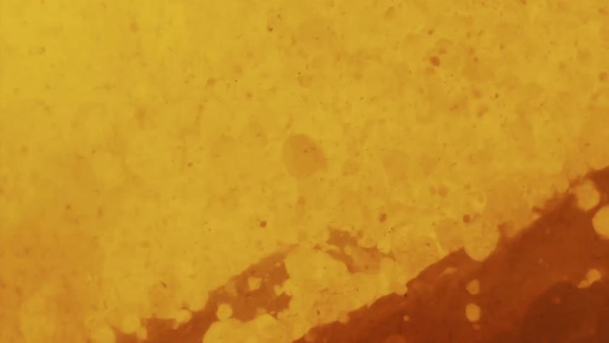 Orange and red particles float through a yellow background