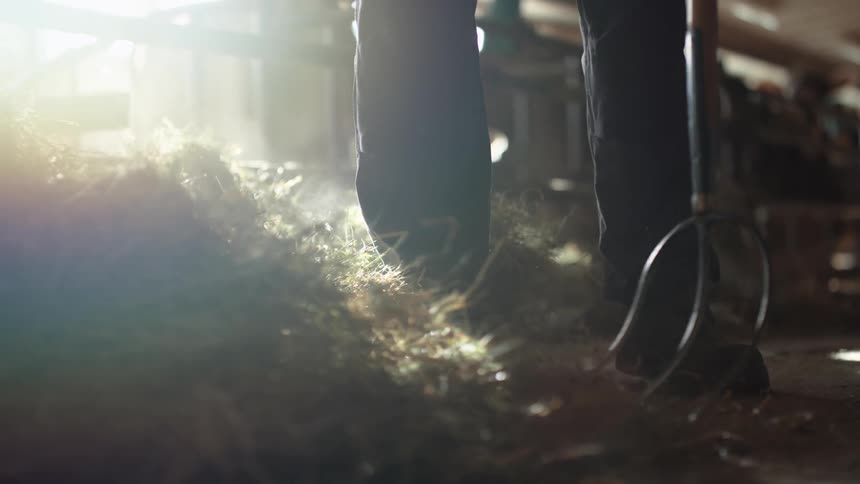 A farmer is raking grass in a barn