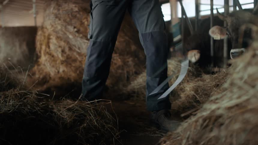 A farmer using a pitchfork to move hay around a barn