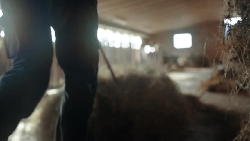 Person pushing pile of hay across to other side of stable