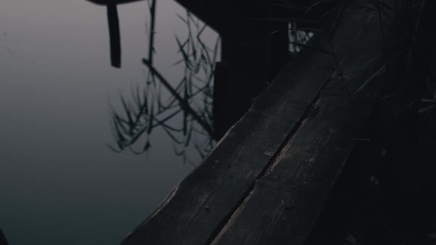 Weeds grow under a pier that is above a lake