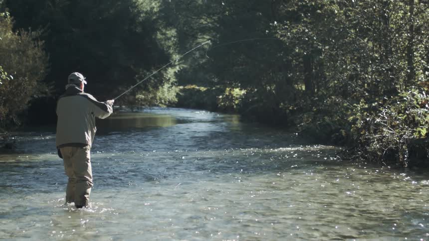 Angler casts line while standing in river between forested banks