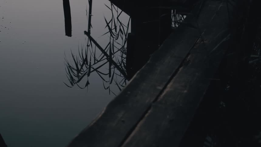 Plants reflect in water next to dock