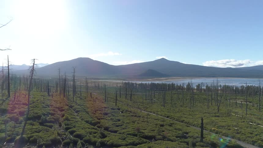 The trees are barren before the lake