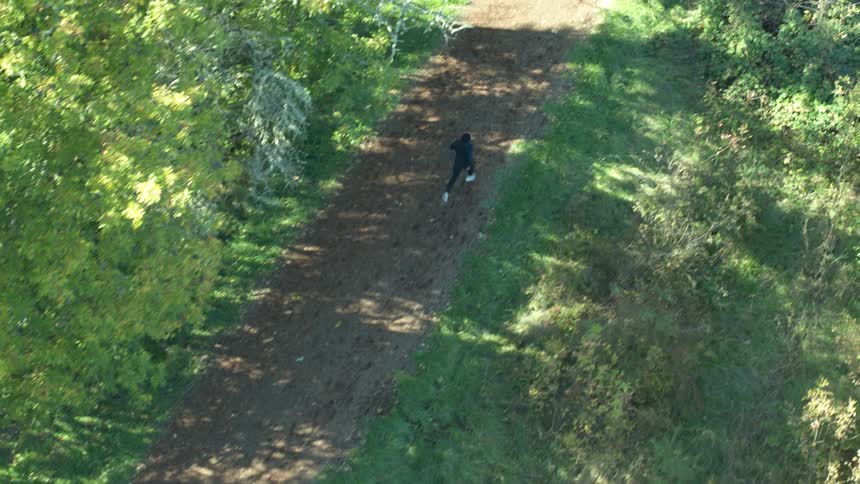 Man jogs along the dirt road next to the trees