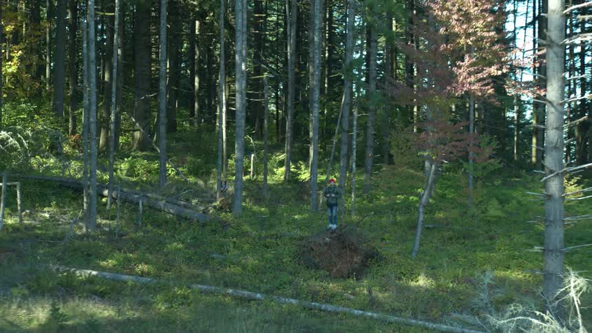 Hiker standing at the middle of a forest
