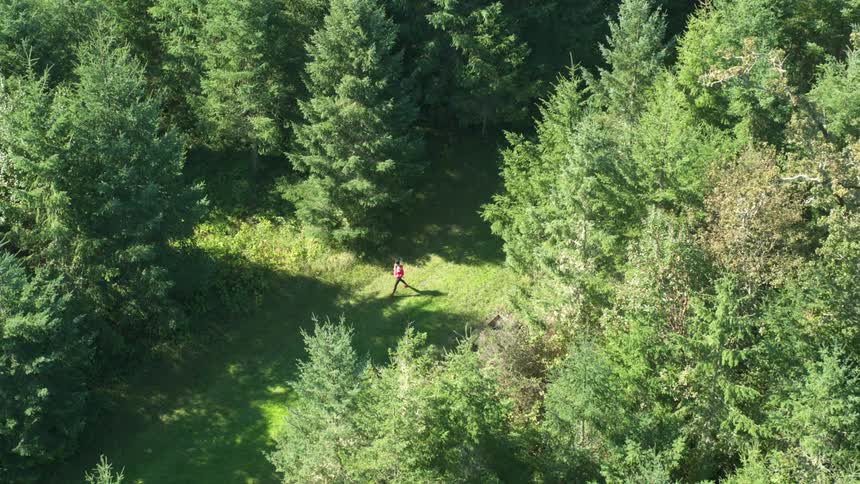 Aerial view of a woman walking in the forest