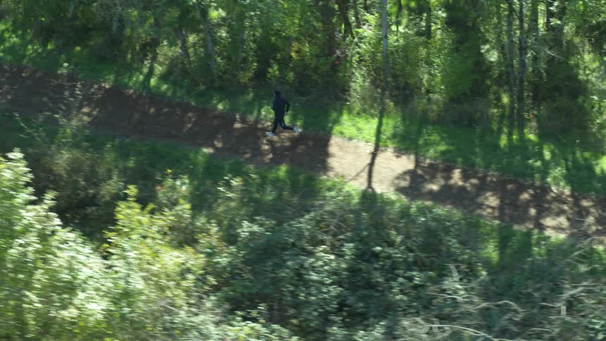 A jogger running down a dirt path through a woodland