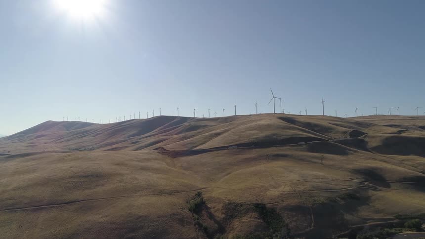 Wind turbines stand in the field under the bright sun