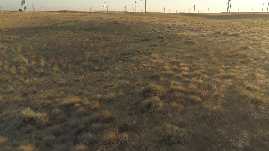 A man walks across a field towards wind turbines