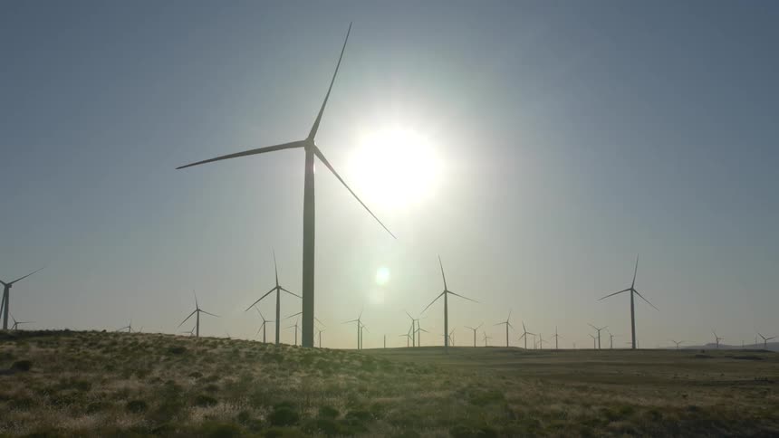 Wind turbines on a wind farm