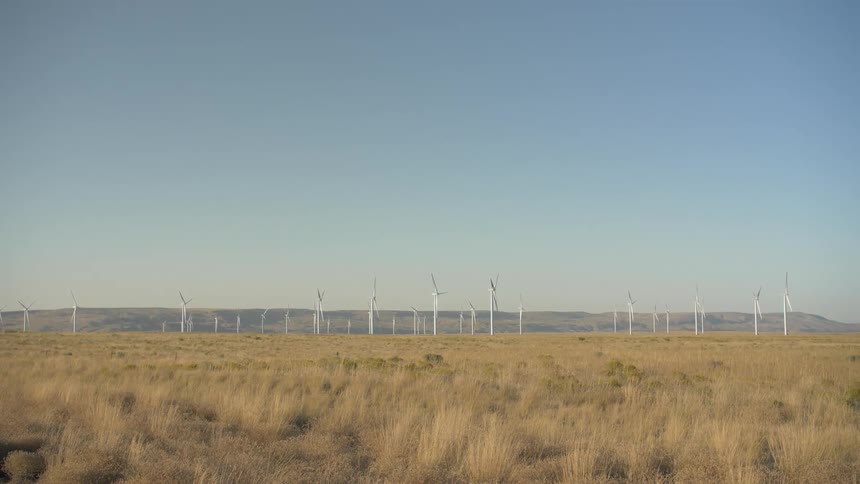 Group of wind turbines not moving in a wind farm