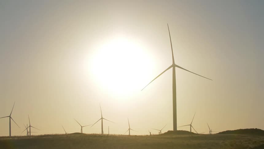 The hills are lined with windmills