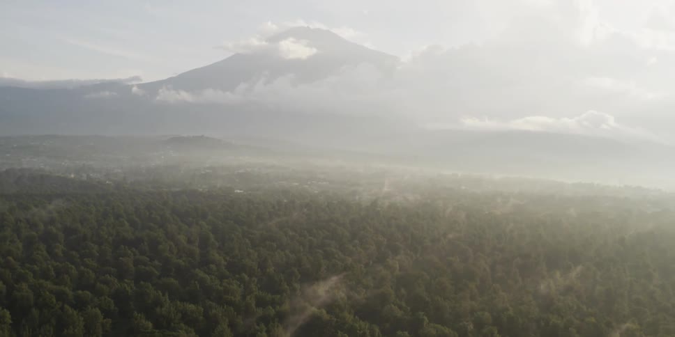 Clouds over a forest and mountain