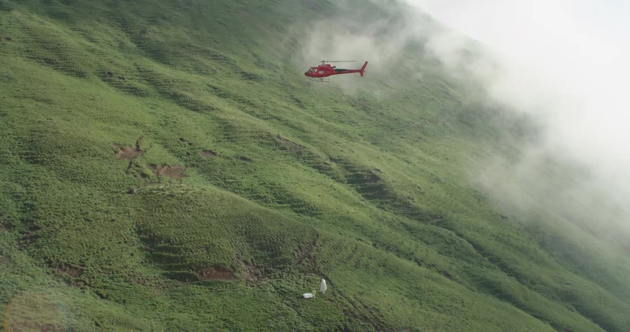 A red helicopter lifts up a white animal by a rope over a grass mountain side