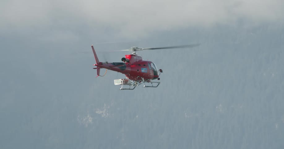A helicopter flies over a forest