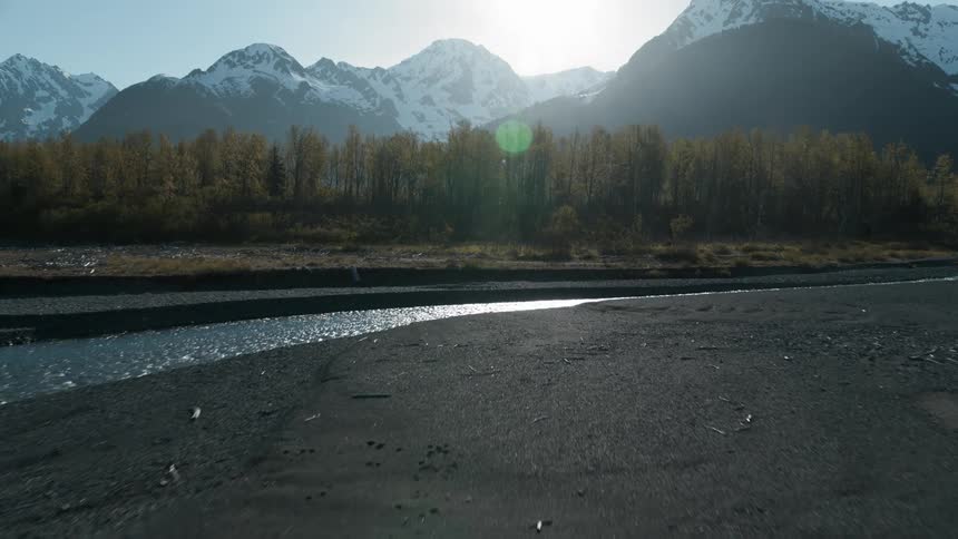 A river flows in front of a forest